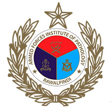 AFIP - Website
